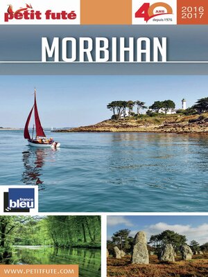 cover image of MORBIHAN 2016/2017 Petit Futé
